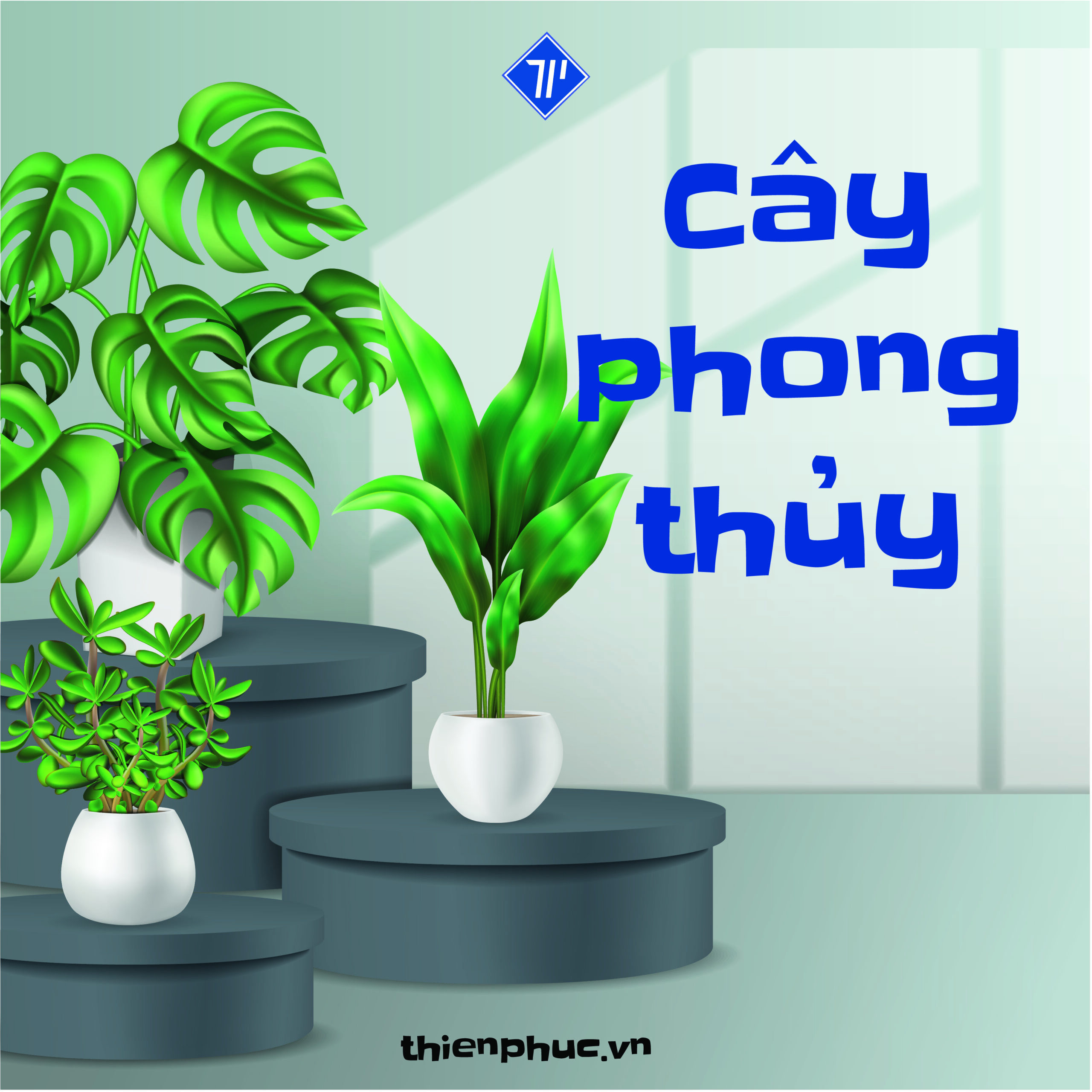 photocopy thien phuc