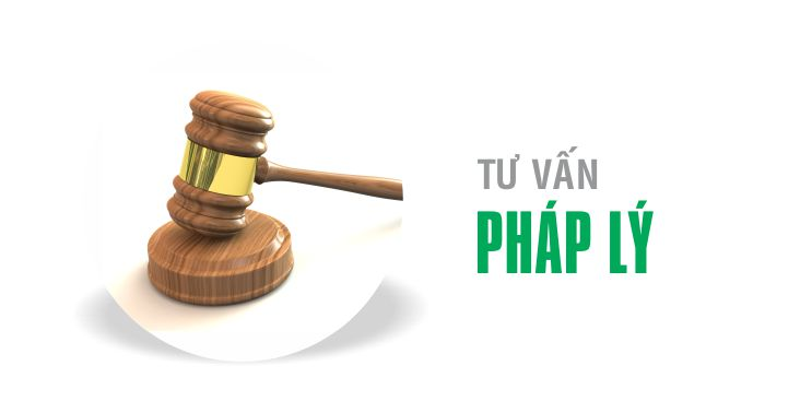 công ty tư vấn luật