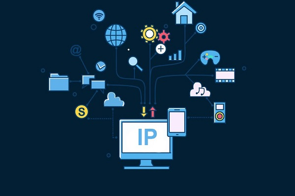 Check địa chỉ IP máy tính bằng các công cụ online