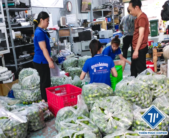 Thiên Phúc Copier tặng chanh mùa Covid