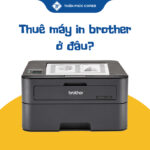 Thuê máy in Brother ở đâu