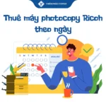 thuê máy photocopy Ricoh theo ngày