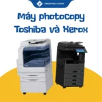 Máy photocopy Toshiba và Xerox